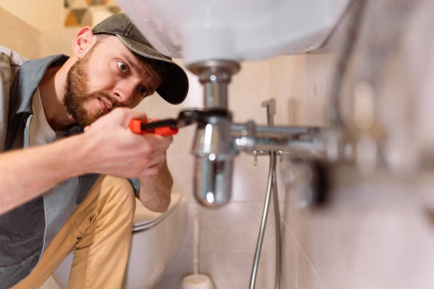 Best Clogged Drain Plumber  in Hibbing, MN